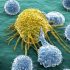 Новый прорыв в лечении: помощь иммунной системе в поиске и уничтожении раковых клеток