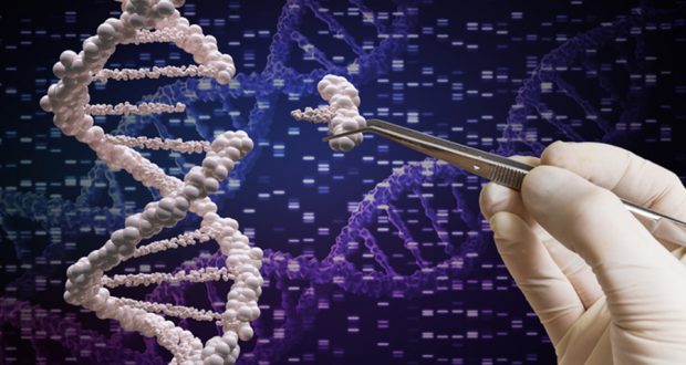 Редактирование генов CRISPR: Основные преимущества изменения нашего естественного мира