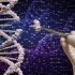 Редактирование генов CRISPR: Основные преимущества изменения нашего естественного мира