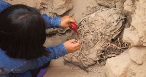 В Перу найдены мумии детей, которые могли быть жертвенным эскортом для усопшего