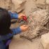 В Перу найдены мумии детей, которые могли быть жертвенным эскортом для усопшего