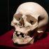 Ученые раскрыли тайны мраморного черепа Бернини с помощью судебно-антропологической экспертизы