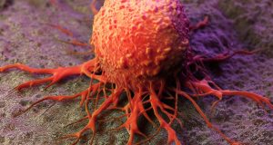 Немецкие ученые открыли вещество, борющееся с распространением раковых клеток
