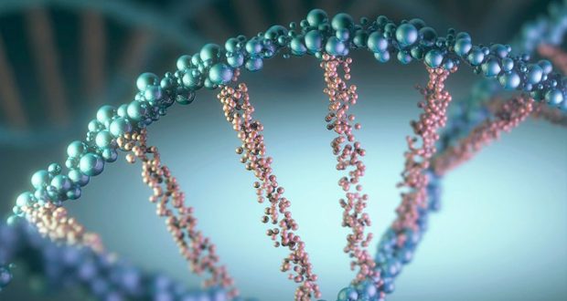 Ученые смогли полностью расшифровать геном человека
