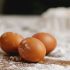 Белый сгусток в яйце полезен для организма и богат питательными веществами