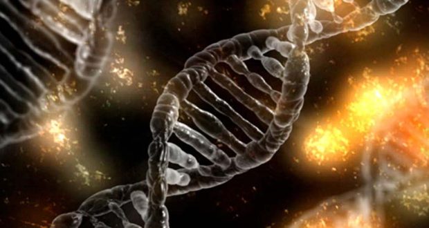 Перевернутый геном встречается чаще, чем считалось ранее