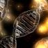 Перевернутый геном встречается чаще, чем считалось ранее