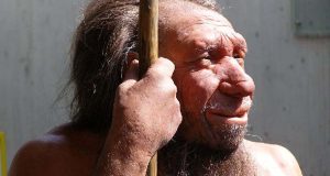 Археологи предложили Homo sapiens называть Homo faber – создателями инструментов