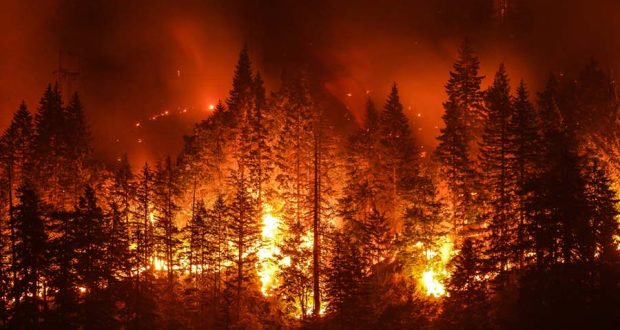 Ученые разработали метод сезонного прогнозирования лесных пожаров