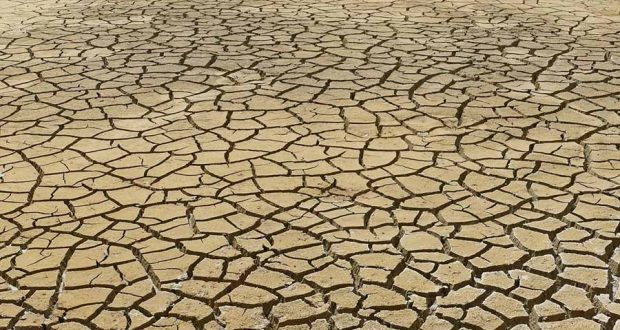 Засуха и опустынивание угрожают деградацией во всем мире