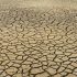 Засуха и опустынивание угрожают деградацией во всем мире