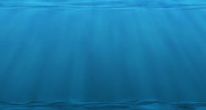 Планктон будет накапливать больше углерода по мере потепления климата Земли, но вопрос о его хранении после конца века неизвестен.