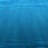 Планктон будет накапливать больше углерода по мере потепления климата Земли, но вопрос о его хранении после конца века неизвестен.
