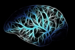 Ученые обнаружили две ключевые системы мозга, стоящие за психозом